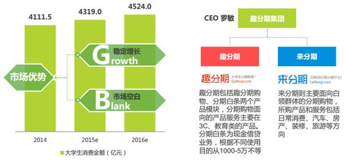 分期電商市場(chǎng)深度調(diào)研 現(xiàn)狀、機(jī)遇與挑戰(zhàn)